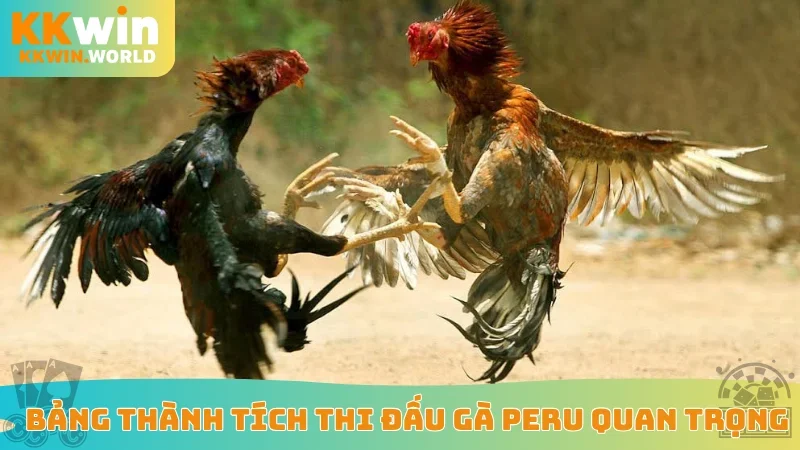 Bảng thành tích thi đấu gà Peru quan trọng