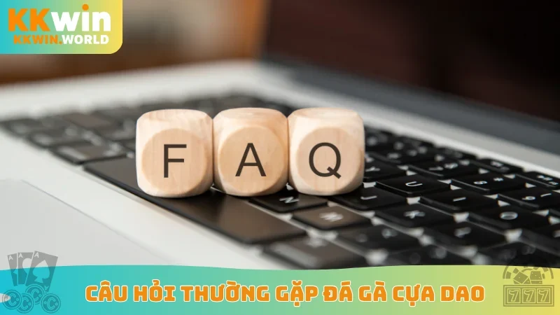 Câu hỏi thường gặp đá gà cựa dao