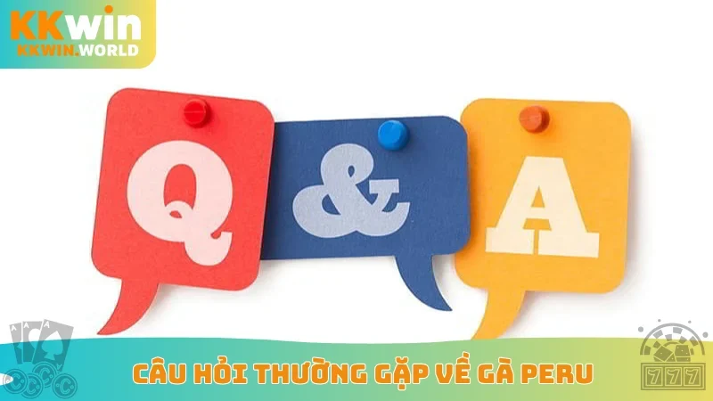 Câu hỏi thường gặp về gà Peru