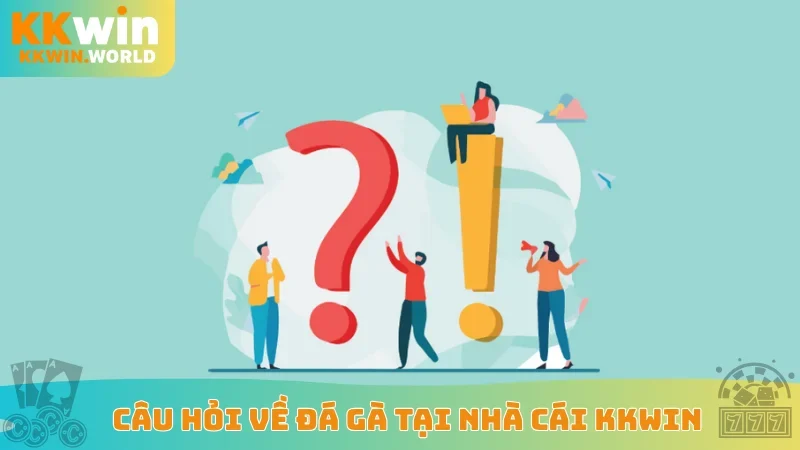 Câu hỏi về đá gà tại nhà cái KKWin